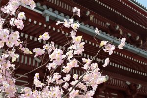 【台北 日本語】日本語で大丈夫 日系ホテルと日本語が通じるホテル