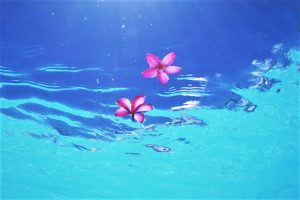 【沖縄 宮古島 高級】リゾートを満喫できる宮古島のラグジュアリーホテル