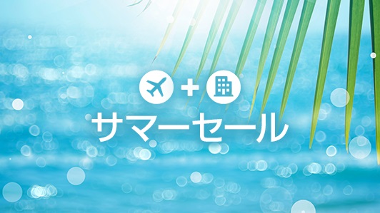 フラッシュセール